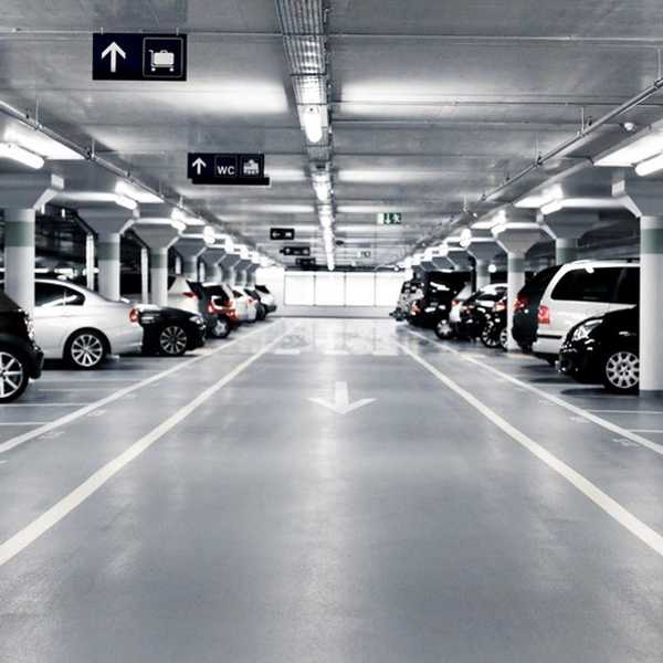 7 Ways College Parking Lots Are Like The Wild