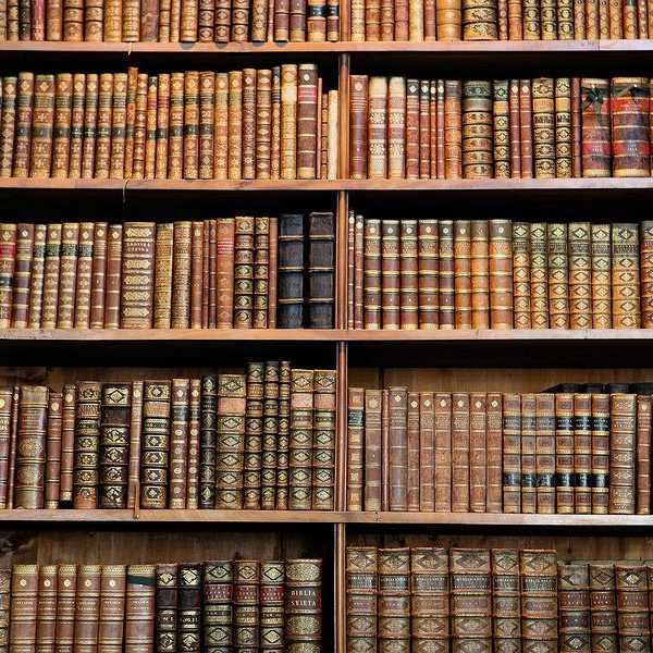 The 5 Best Books You Read In High School English Class