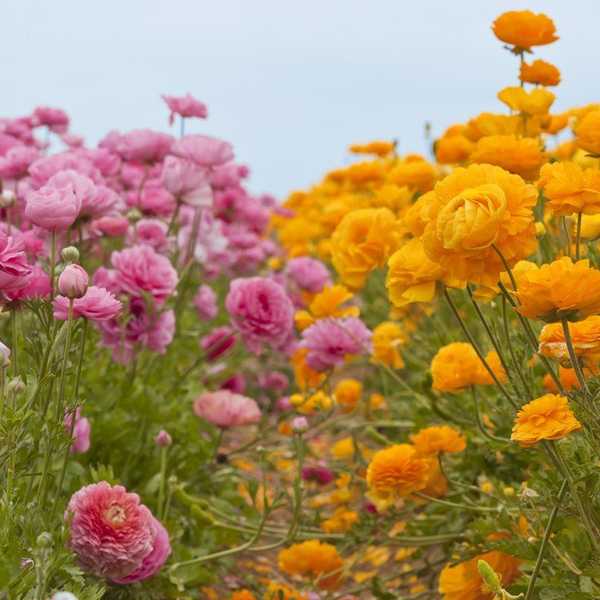 8 Easy Ways You Can Help Save The Earth