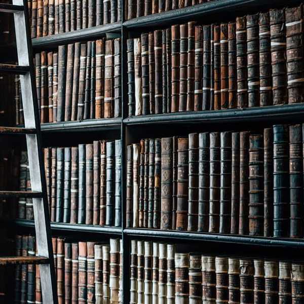 When You Grow Up Loving to Read...