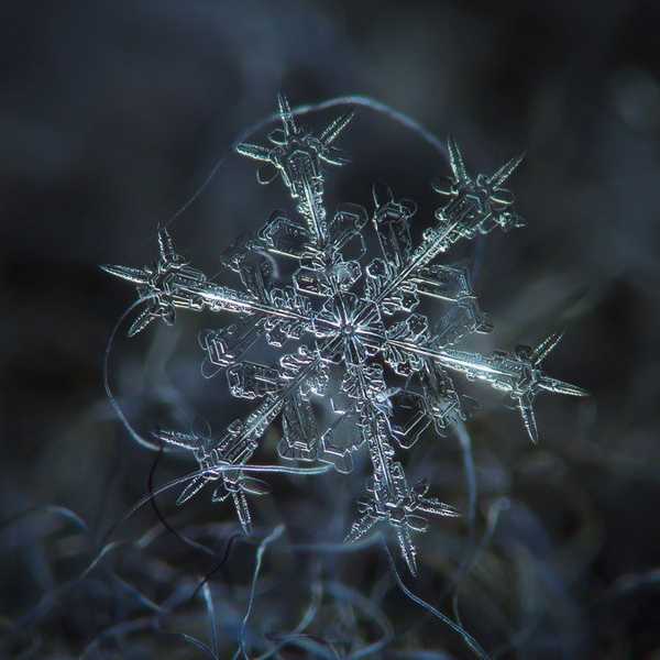 Projection And The Conservative Snowflake