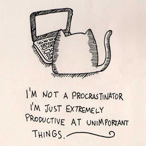 10 Things To Do That Are Better Than Writing An Essay