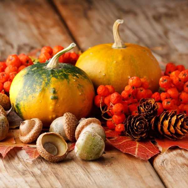 7 More Things That Make Oregon Different Than Scotland