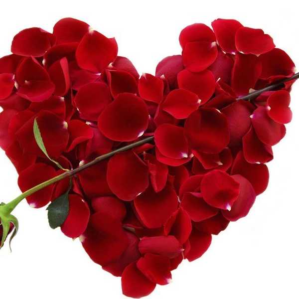 Why I'm Celebrating Valentine's Day This Year and Every Year After