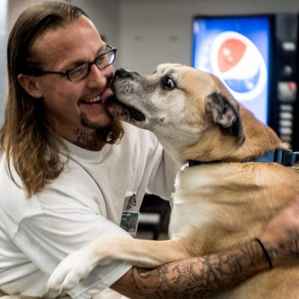 Inmates Train Rescue Dogs in Prison Partnership