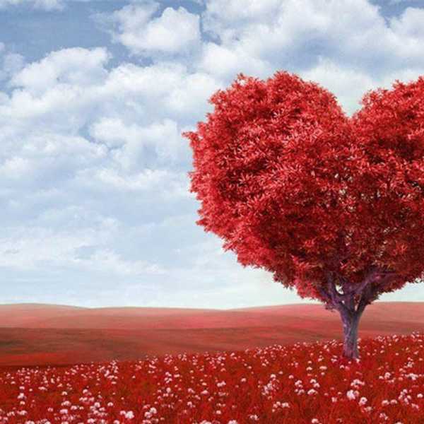 Why You Don't Need A Significant Other For V-Day