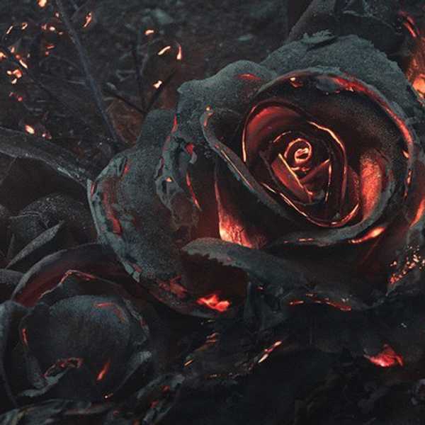 10 Reasons Why Valentine's Day Sucks