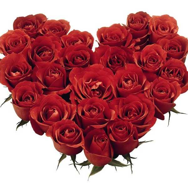 All For Love and Love For All