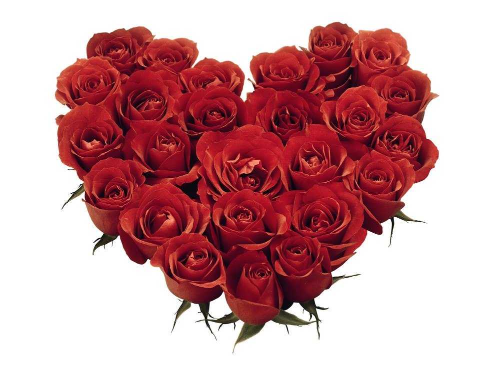 All For Love and Love For All