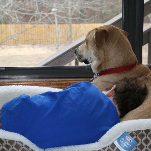 Life In the 1Percent: A History of Autism