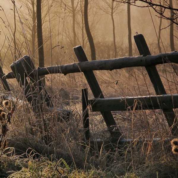 The Other F-Word: Why You Should Always Choose Forgiveness