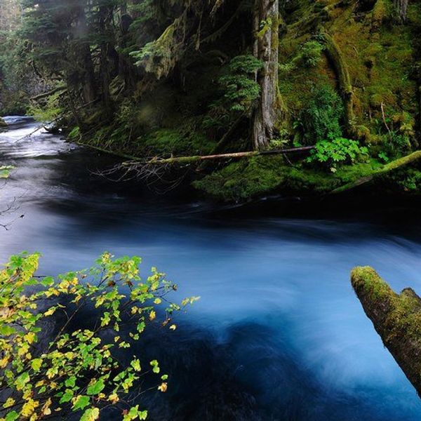 What I’ve Learned About Vulnerability