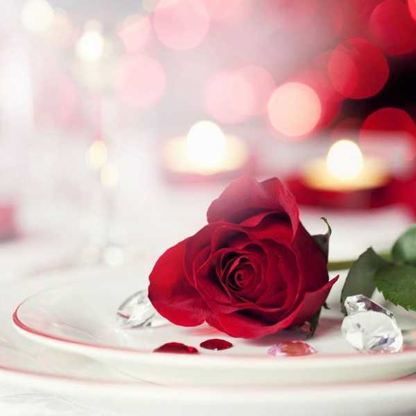 For the Singles on This Valentine's Day