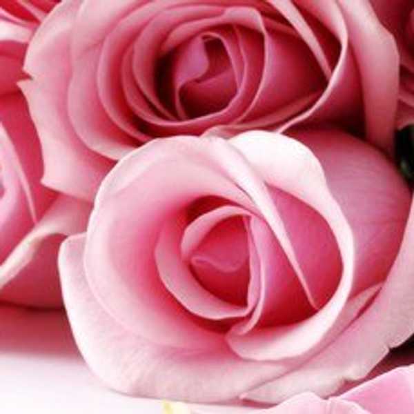 3 Reasons Why Valentine's Day Is Completely Overrated