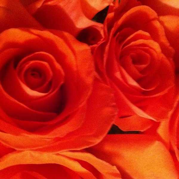 For The Single Girls On Valentine's Day