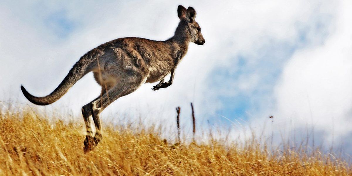 Bumpy Pathway The Bumpy (yet, beneficial) Pathway to Success | The Odyssey Online