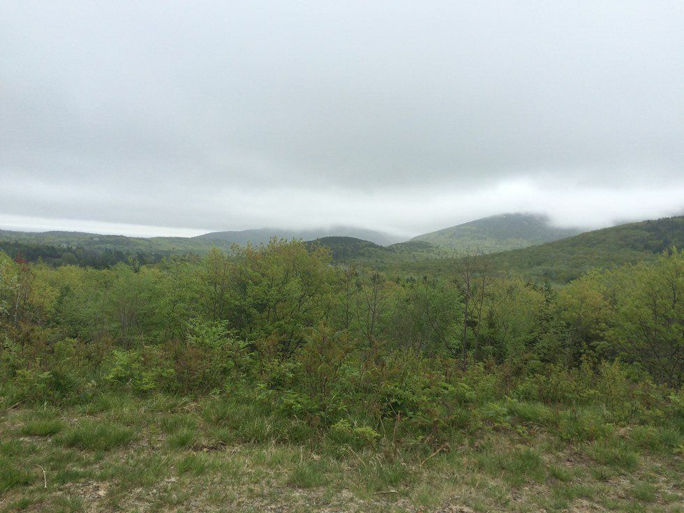 To My Sister's Friends Who Are Always There For Me