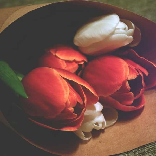 11 Ideas for that Special Someone on Valentines Day