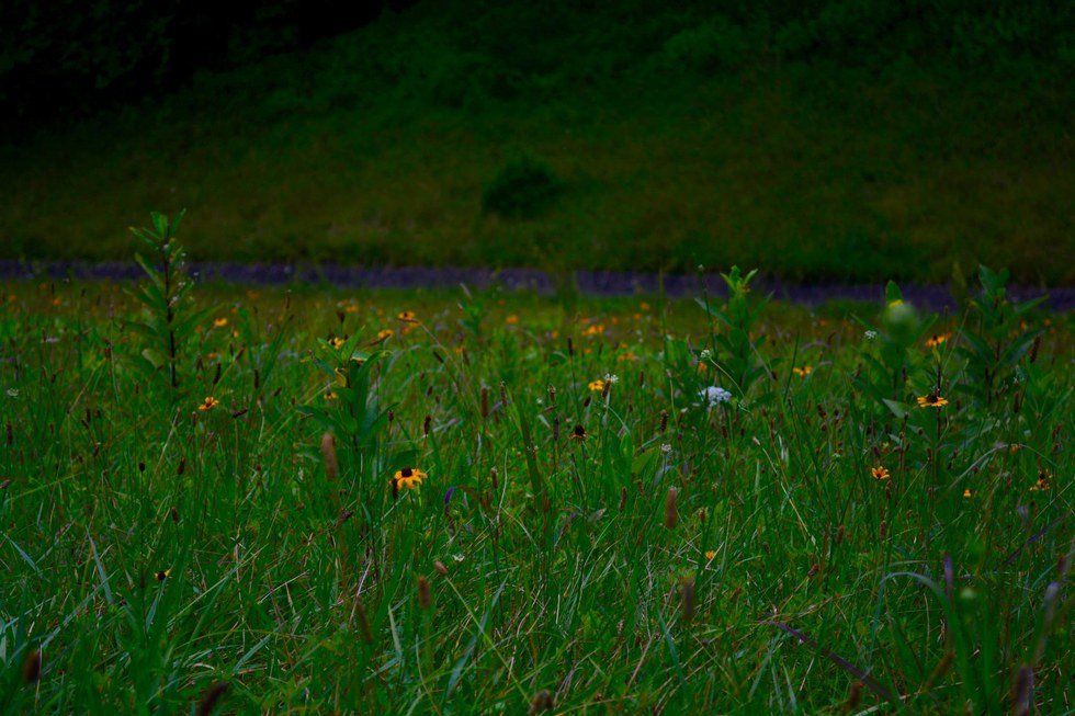 I will always say sorry