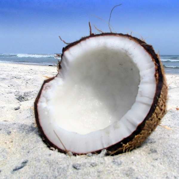 Will We Ever Shut Up About Coconut Oil?