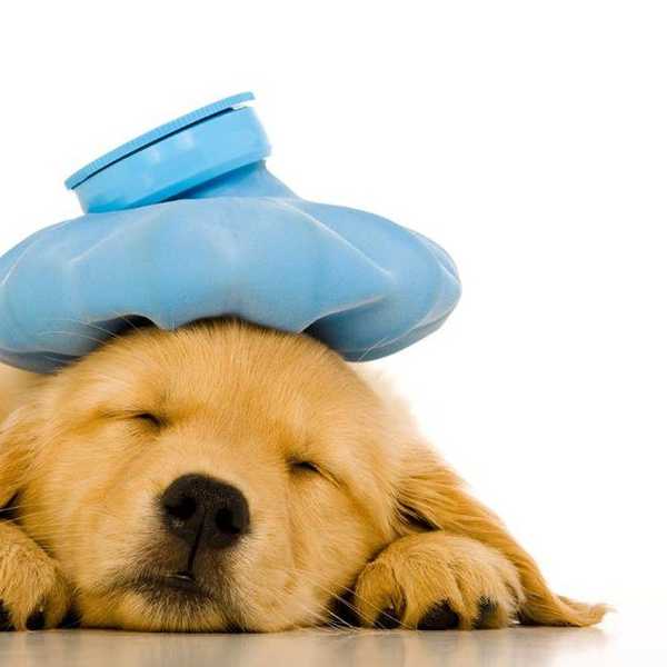 10 Tidbits, Tips, And Tricks About Being Sick In College
