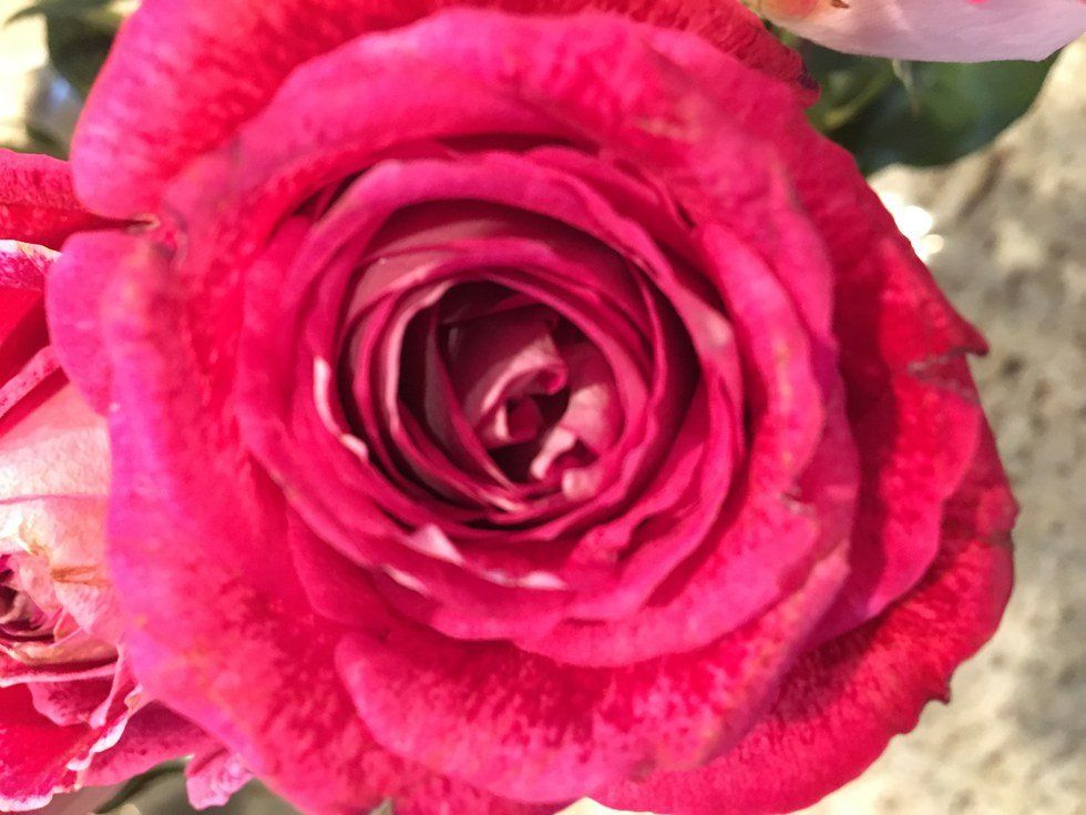 So, You're Single On Valentine's Day?