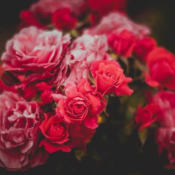 Why Being Single On Valentine's Day Is Actually The Best