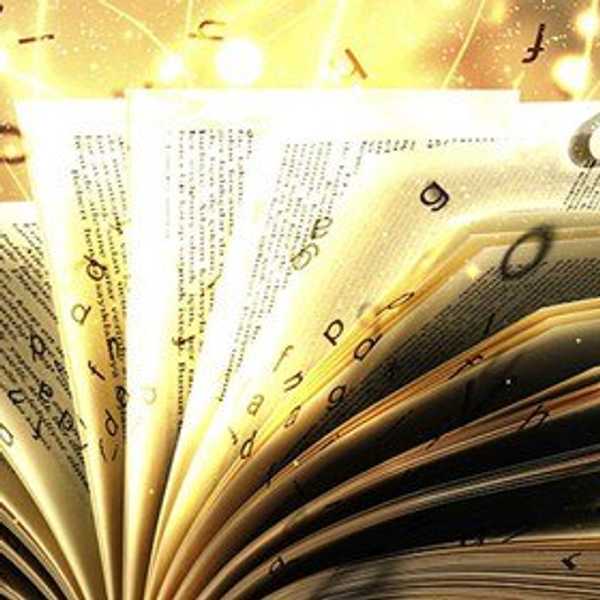 Struggles Of An English Literature Major