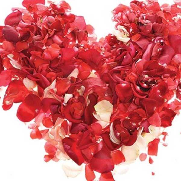 In Your Early 20's With No Boyfriend/Girlfriend? Don't Fret.