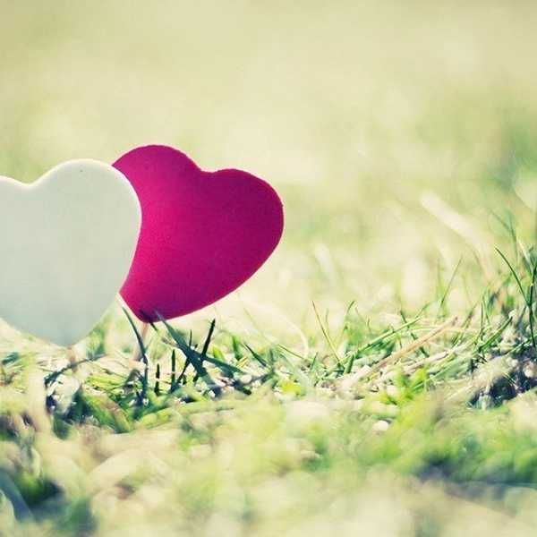 How To Celebrate Valentine's Day