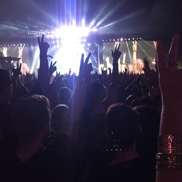 The Life Of A Concert Junkie