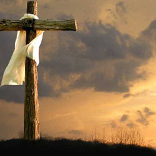 In Our Broken World, Can Authentic Love Be Found?