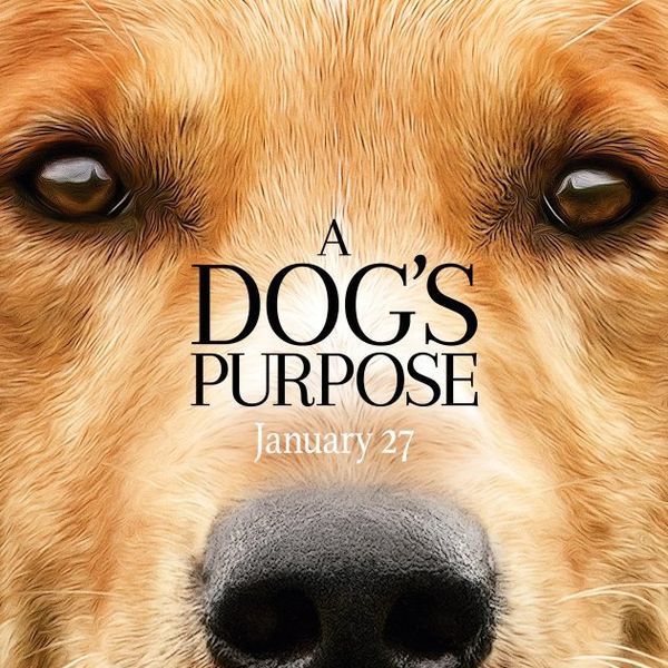 A Dog's Purpose: 7 Differences Between the Movie and the Book