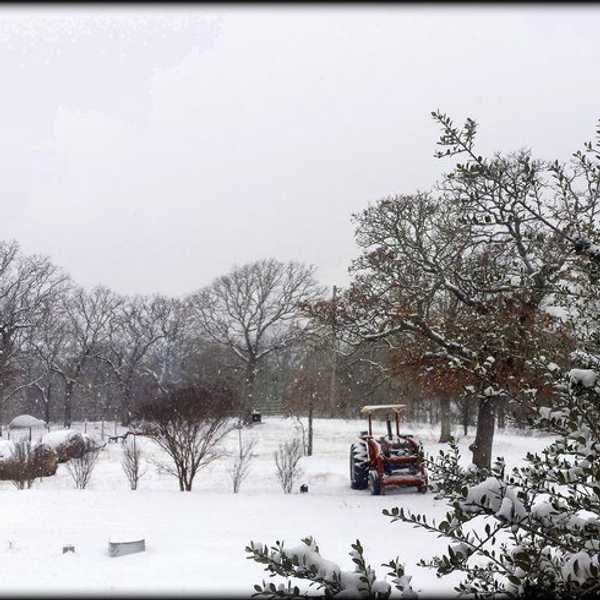 Winter's Absence: A Rant
