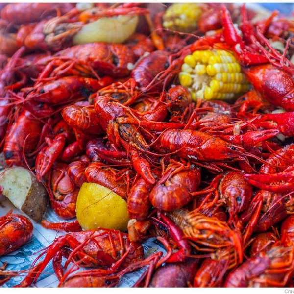 10 Weird Facts You Didn't Know About Crawfish
