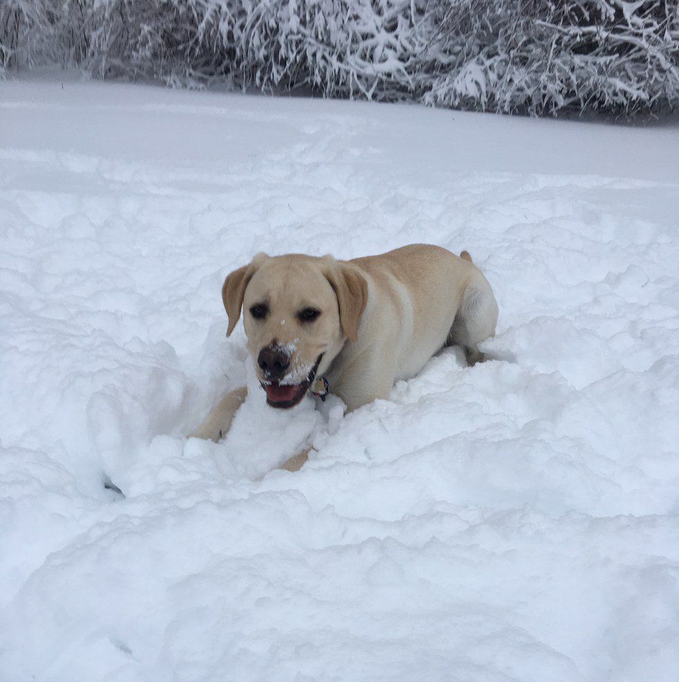 10 Things To Do On A Snow Day In New England