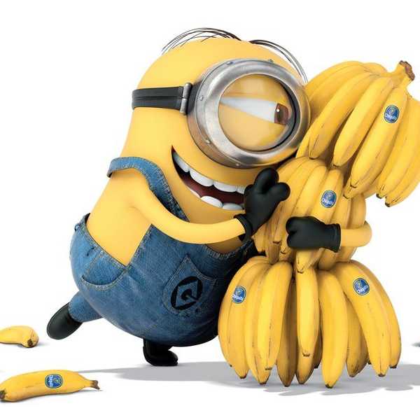 8 Fun Facts About Bananas