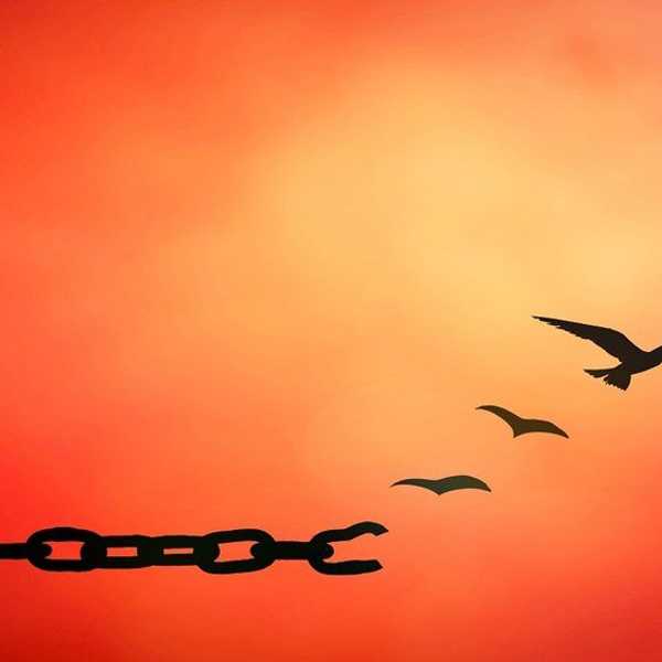 To Forgive or not to forgive, that is the question