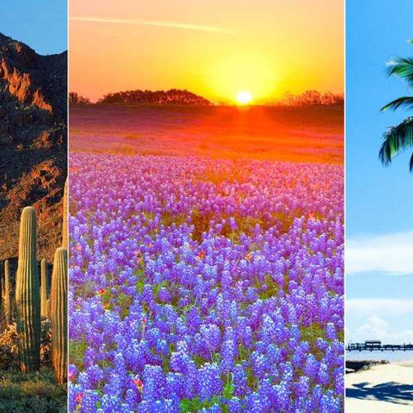Sun Belt Rising