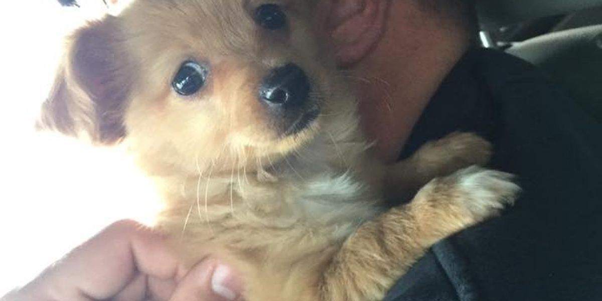 A Letter From Lilo To Boo | The Odyssey Online