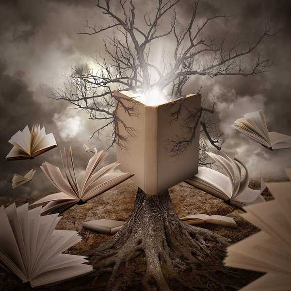A Thank You To My Favorite Books