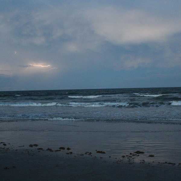 Ecological Dangers Are Present in North and Local Florida