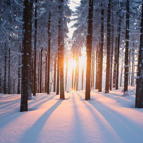 How to Beat the Winter Blues
