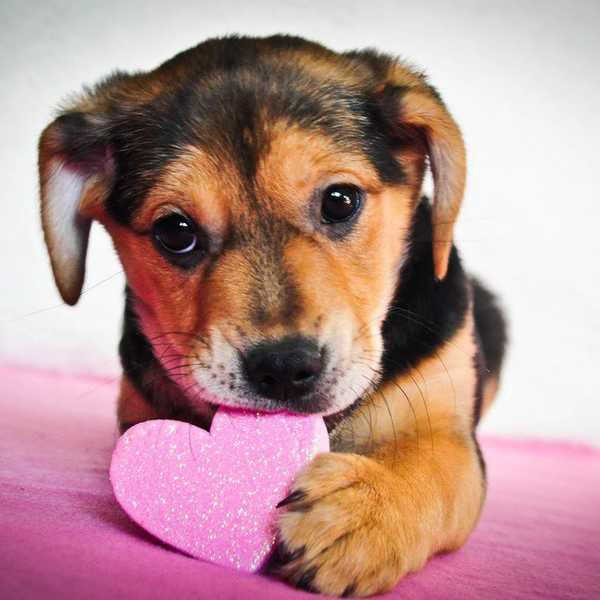 10 Things To Do If You're Single On Valentine's Day
