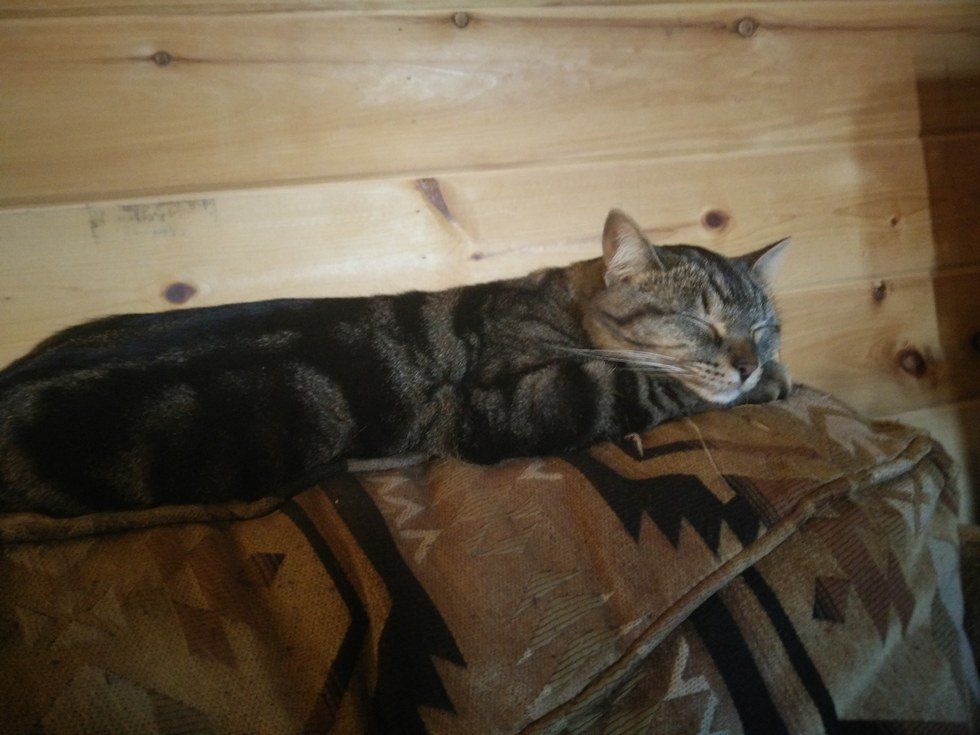 Stop Normalizing Self Destructive Behavior In College