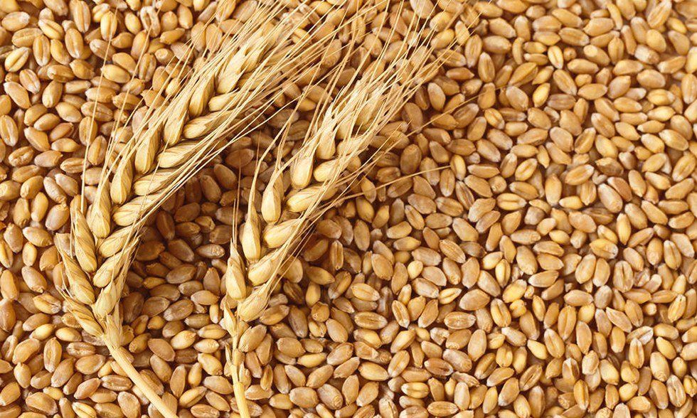 The True "Gluten-Free" Diet