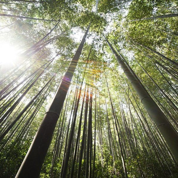 17 Songs To Brighten Your Day