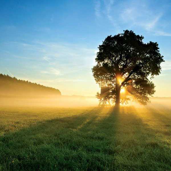 That Grass Just Might Be Greener