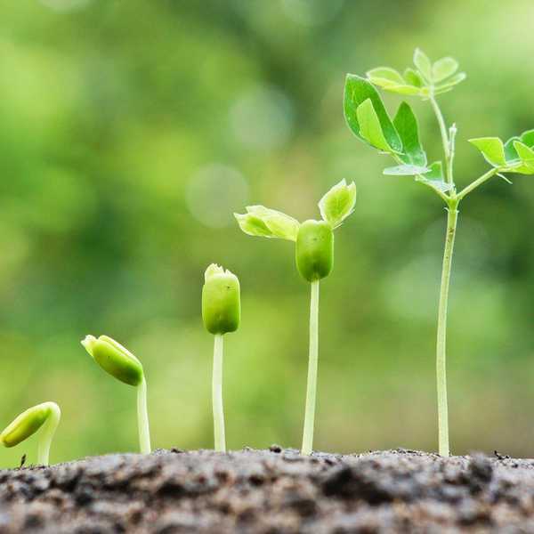 Why You Need To Allow Yourself Room To Grow