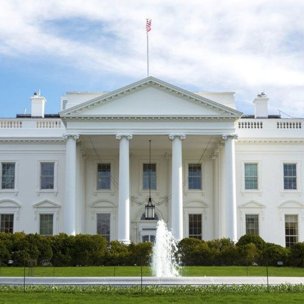 A Letter to Our Commander in Chief